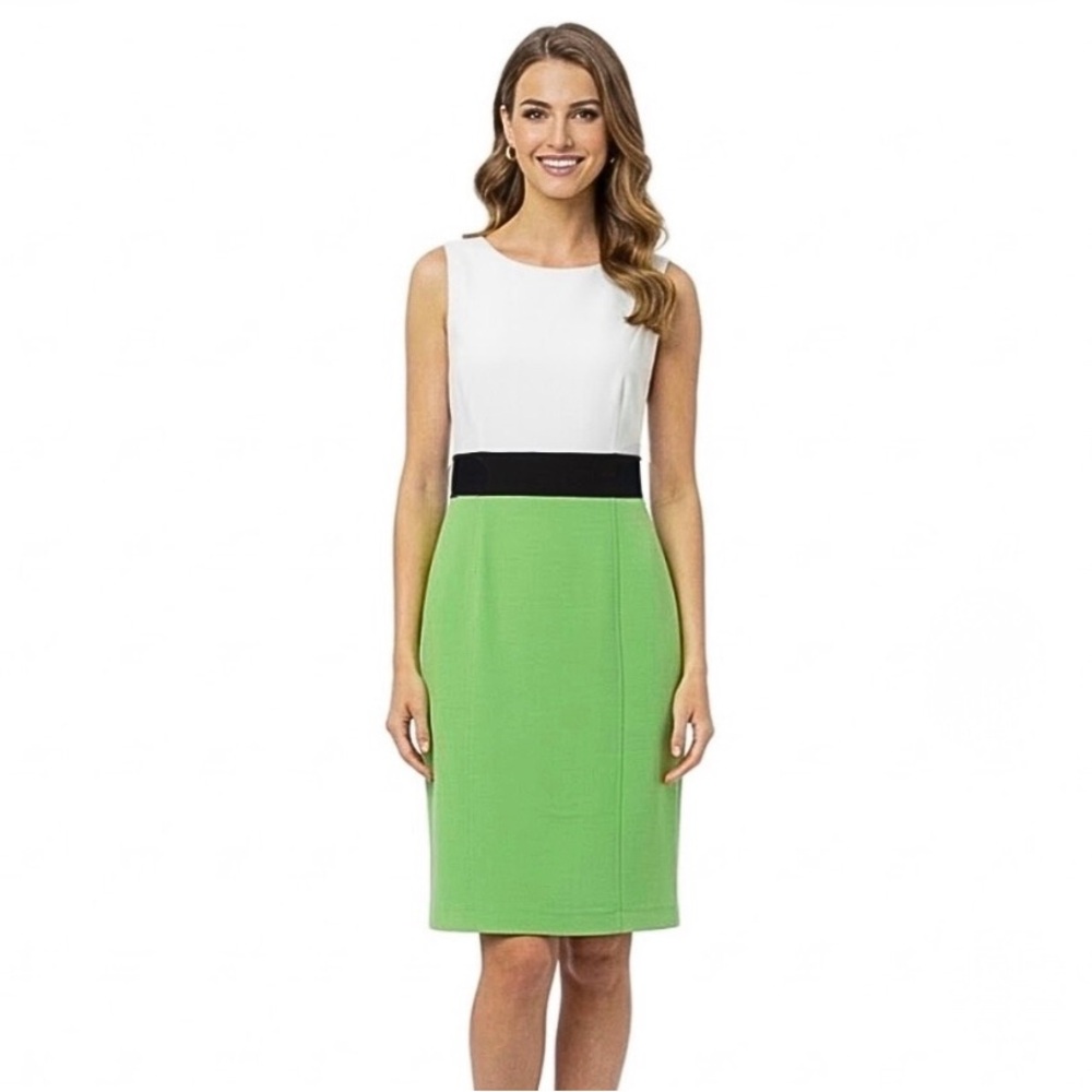 Black Label by Evan-Picone Green White Color Block Sheath Dress Size 10